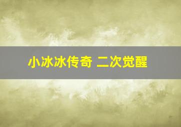 小冰冰传奇 二次觉醒